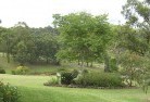 Collingwood VICresidential-landscaping-40.jpg; ?>